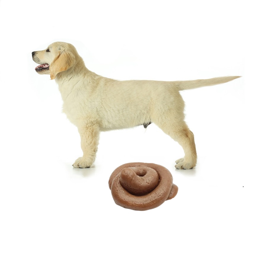 Забавная игрушка-антистресс в  – обзор и цена Fake Poop Gag Gift